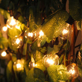 Patio String Lights Decor Waterproof - Lazyviral Store